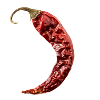 Dried Red Chili Isolated on Transparent Background png