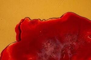 A part with a flat concept of a medical blood test with space to copy. Chemical laboratory analysis. Blood samples for cosmetology. Analysis in a chemical laboratory close-up. photo