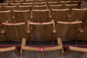 Chairs in a row for the audience. Rear view. The concept of the cultural environment. Wooden and symmetrical . Empty seats. photo