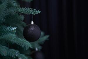 Close up of single black ball handing on christmas tree with bokeh. Christmas decor, black background with copy space. The concept of Christmas. Ball is on a pine branch of christmas tree photo