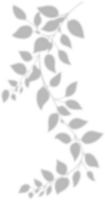 Realistic gray shadow of leaf overlay strands isolated on a transparent background. natural leaves shadow and summer design elements, top view, flat lay png