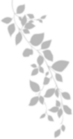 Realistic gray shadow of leaf overlay strands isolated on a transparent background. natural leaves shadow and summer design elements, top view, flat lay png