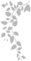 Realistic gray shadow of leaf overlay strands isolated on a transparent background. natural leaves shadow and summer design elements, top view, flat lay png