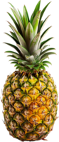 Sliced pineapple, ananas splash floating in air isolated in transparent background for packaging, poster, nutrition label, fresh ripe yellow tropical pine apple png