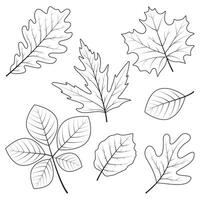 Autumn leaf line art design element vector