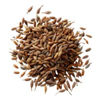 Cumin ontransparent background high resolution 8K png
