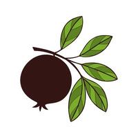 Pomegranate fruit on branch with leaves, stylized drawing, isolated on white background. vector
