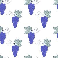 Grape seamless pattern on white background, contour doodle blue drawing of grape berries and leaves. vector