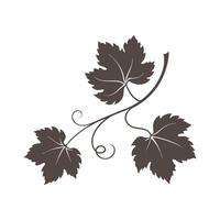Silhouette of grapevine on white background. vector