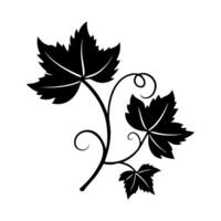 Silhouette of grapevine on white background. vector