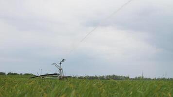 Field Crop Irrigation System in a wheat field video