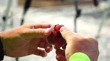 Man eating peach. Young man in sunglases eating peach on the beach. Happy man is smiling and resting at sea. Guy enjoying fruits on summer vacation. Vegetarian and healthy lifestyle concept. video