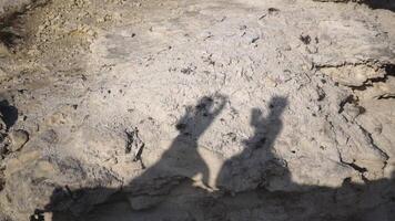 Shadow of happy family dancing on beach at sunset time on the white limestone near sea coast. Concept of friendship, love and happy family on summer vacation video