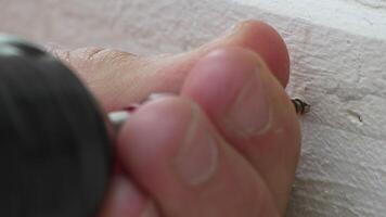 A man hands using a power tool fastens a board with a screw. Slow motion video