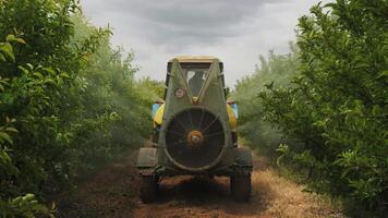 Spraying garden trees with fertilizers with a tractor video