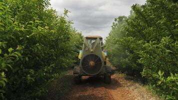 Spraying garden trees with fertilizers with a tractor video