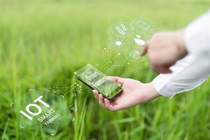 Agricultural Researchers Using Technology in Agriculture for Smart Farming and IoT Integration in Modern Farming Practices photo