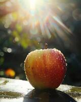 Apple with a bit of sunlight creating a lens flare photo