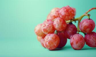 Grapes on a pastel green background photo