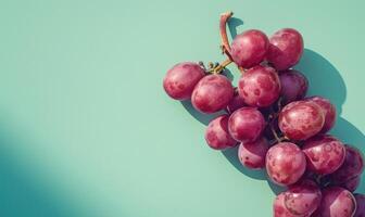 Grapes on a pastel green background photo