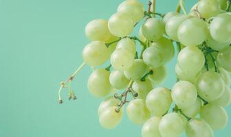 Grapes on a pastel mint background photo