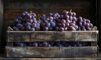 Grapes in a classic crate with a rustic charm photo