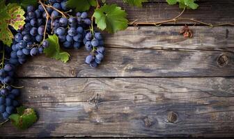Grapes on vines with rustic wooden background photo