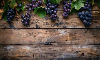 Grapes on vines with rustic wooden background photo