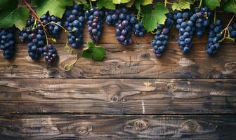 Grapes on vines with rustic wooden background photo