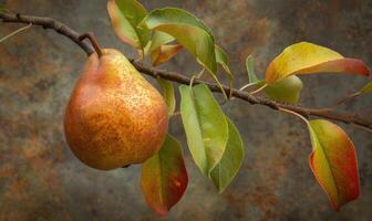 Pear with a red blush, hanging from a branch with green leaves photo