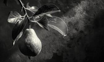 Pear on a branch with delicate sun rays photo