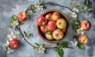 Top view of different autumn apples in a rustic wooden bowl photo