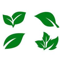Green leaf icons set. Leaves icon on isolated background. vector