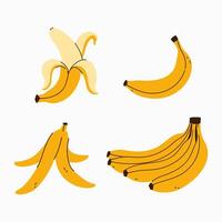 Set of bananas, peeled banana, bunch of bananas. graphics. vector