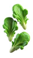 Flying Lettuces 3d Asset png