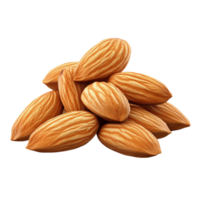 Raw Almonds Isolated Transparent Background. png