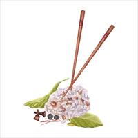 Cooked rice with spices and chop sticks composition. Rice with bay leaves, cloves and pepper. Hand drawn watercolor illustration isolated from background. For menus and cooking books of asian food vector