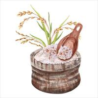 Rice grains in a hessian bag with and a traditional wooden serving spoon composition. Hand drawn watercolor illustration isolated from background. For asian food product labels and packaging of rice vector