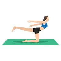 Woman doing Balancing Cow Pose or Balancing Bitilasana yoga exercise. vector