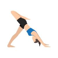 Woman doing Three Legged Downward Facing Dog Pose Variation or Tri Pada Adho Mukha Svanasana Variation Stacked. vector
