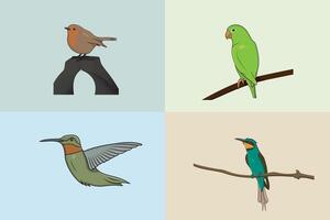 Collection of birds, Goose bird with parrot and sparrow design. vector