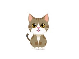 Funny Cute Animal png