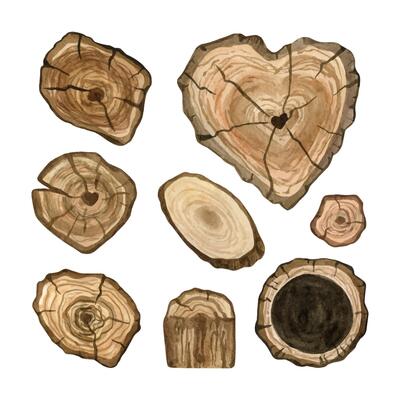 Rustic wood slices clipart set. Hand drawn watercolor clipart for wedding invitations