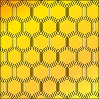 Hexagon pattern isolated on gold background vector