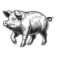 Pig Clipart, Hog Outline Logo, A pig Walking illustration in black and white vector