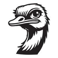 Ostrich Face Clipart, Struthio Bird Outline Design, Common ostrich silhouette, Flightless bird illustration in black and white vector