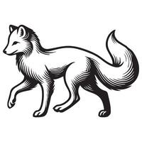 Fox Clipart, White Fox Outline Design, A Walking arctic fox illustration in black and white vector