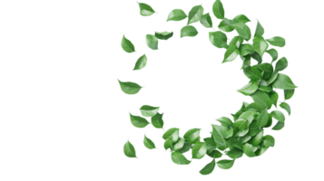 A circular arrangement of green leaves on a transparent background, perfect for eco-friendly and nature-themed designs and projects. png