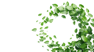 A circular arrangement of green leaves on a transparent background, perfect for eco-friendly and nature-themed designs and projects. png