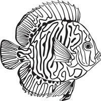Artwork of Discuss fish vector